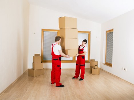 Fragile item packing and protective wrapping for removals in Bedfordpark