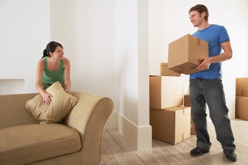 Packing and organizing boxes for a Bedfordpark flat move